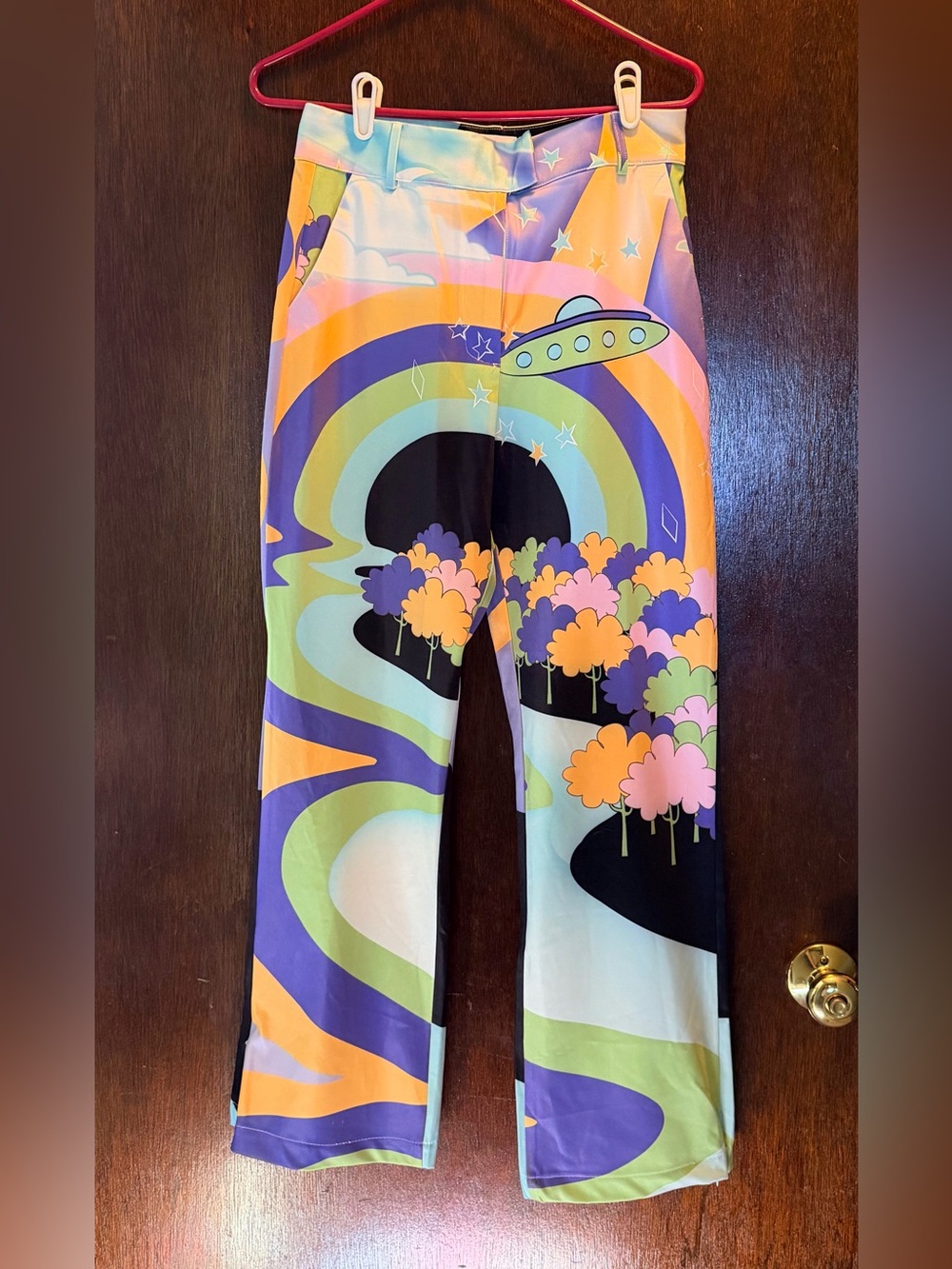 House of Sunny Pants Free People size 6